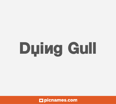 Dying Gull